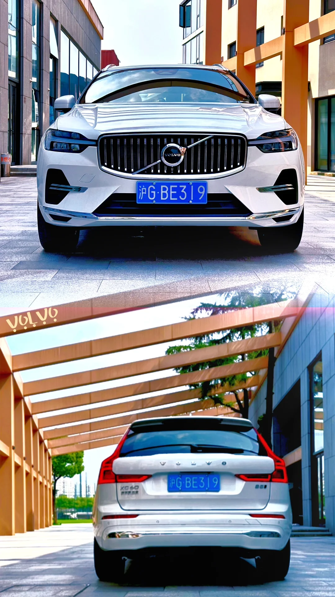 xc60让我心碎了，家人们