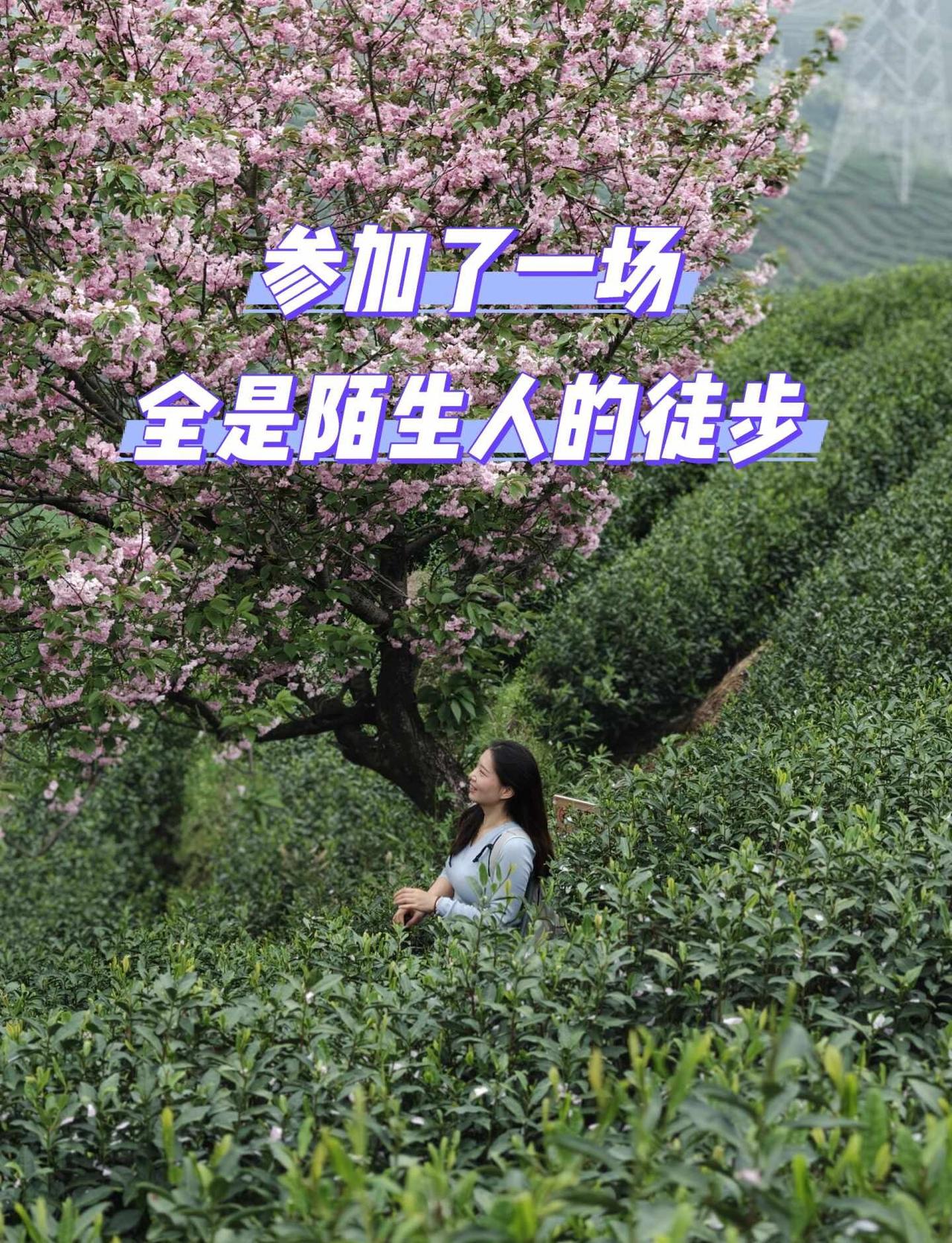 参加了一场全是陌生人的徒步，我有话想说
上周末，我干了件以前打死不会干的事——