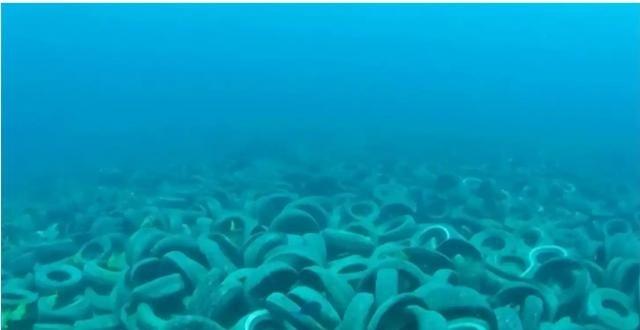 1970年，美国往大海丢入200万个废弃轮胎，这些轮胎经海水浸泡，释放出无数有毒