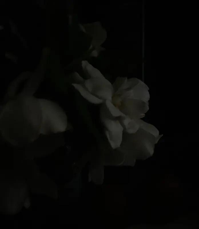 历史中黑暗的时代是不可避免的吗? 历史中黑暗的时代或许是不可避免的。就像古希腊前