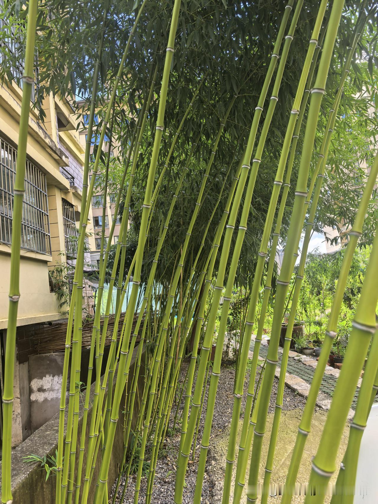 我忽然意识到，现在的每一次例假，都可能是人生最后一次，这次间隔了75天。一如24