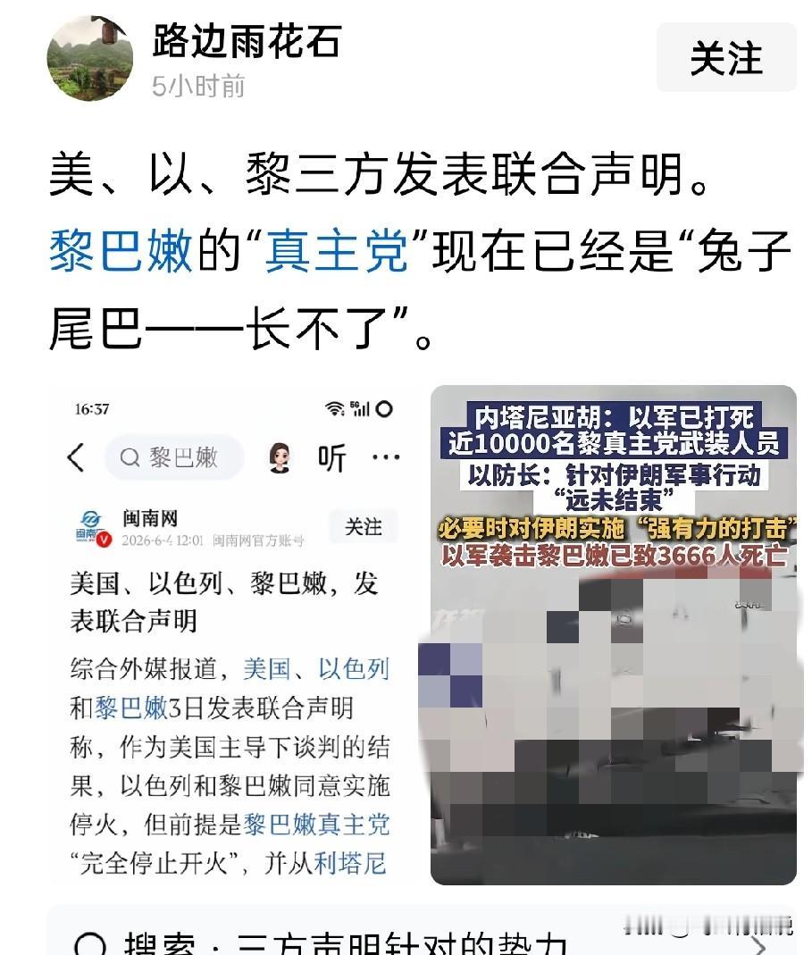 一旦黎巴嫩政府放弃了真主党，伊朗也会对此束手无策，只能任其灭亡
真主党之所以能够