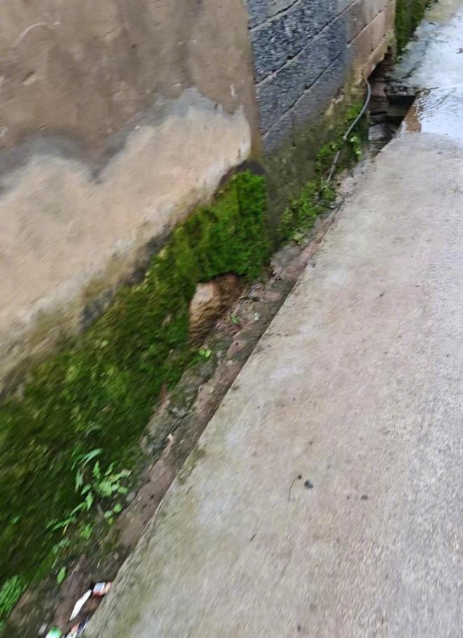 【男生欲性侵15岁女同学将其杀害 事后去事发地查看情况】初中女生被男同学杀害案将