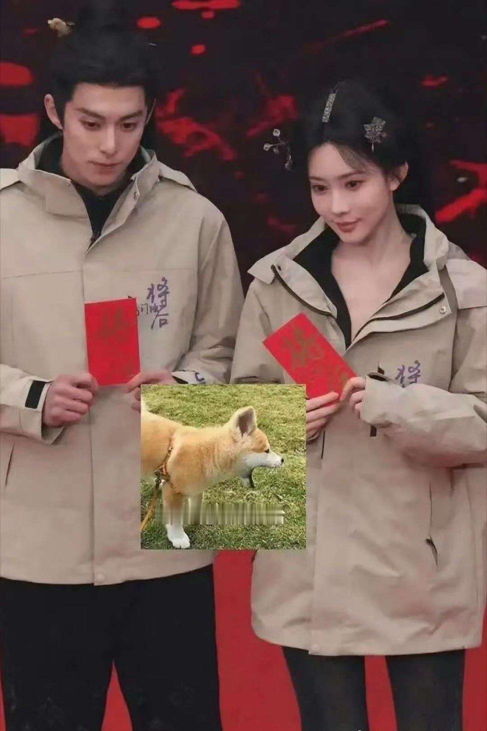 将门独后开机 将门独后官宣王鹤棣孟子义 貌不合、神也离 