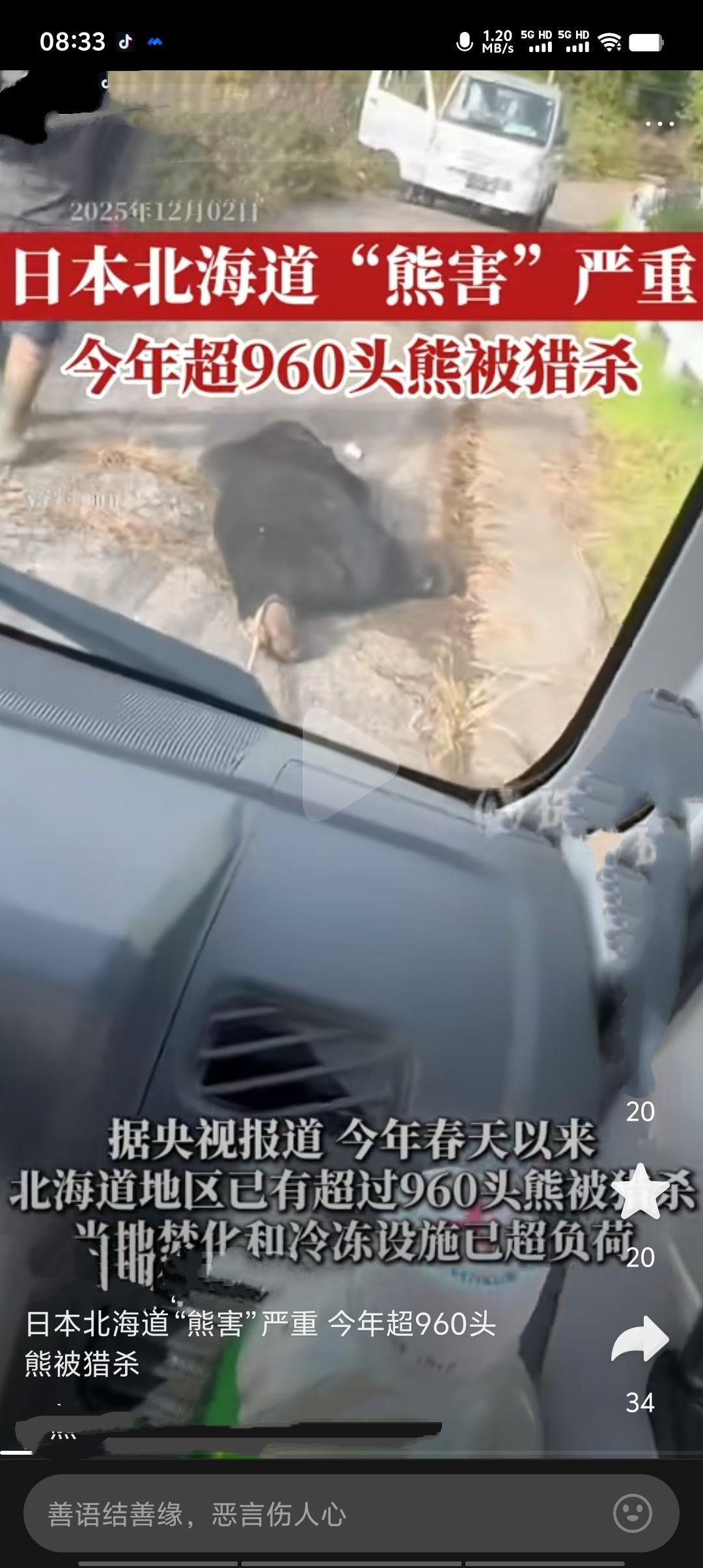 2025年4月至10月，日本全国捕杀熊达9765头，创历史纪录。东北地区占比近七