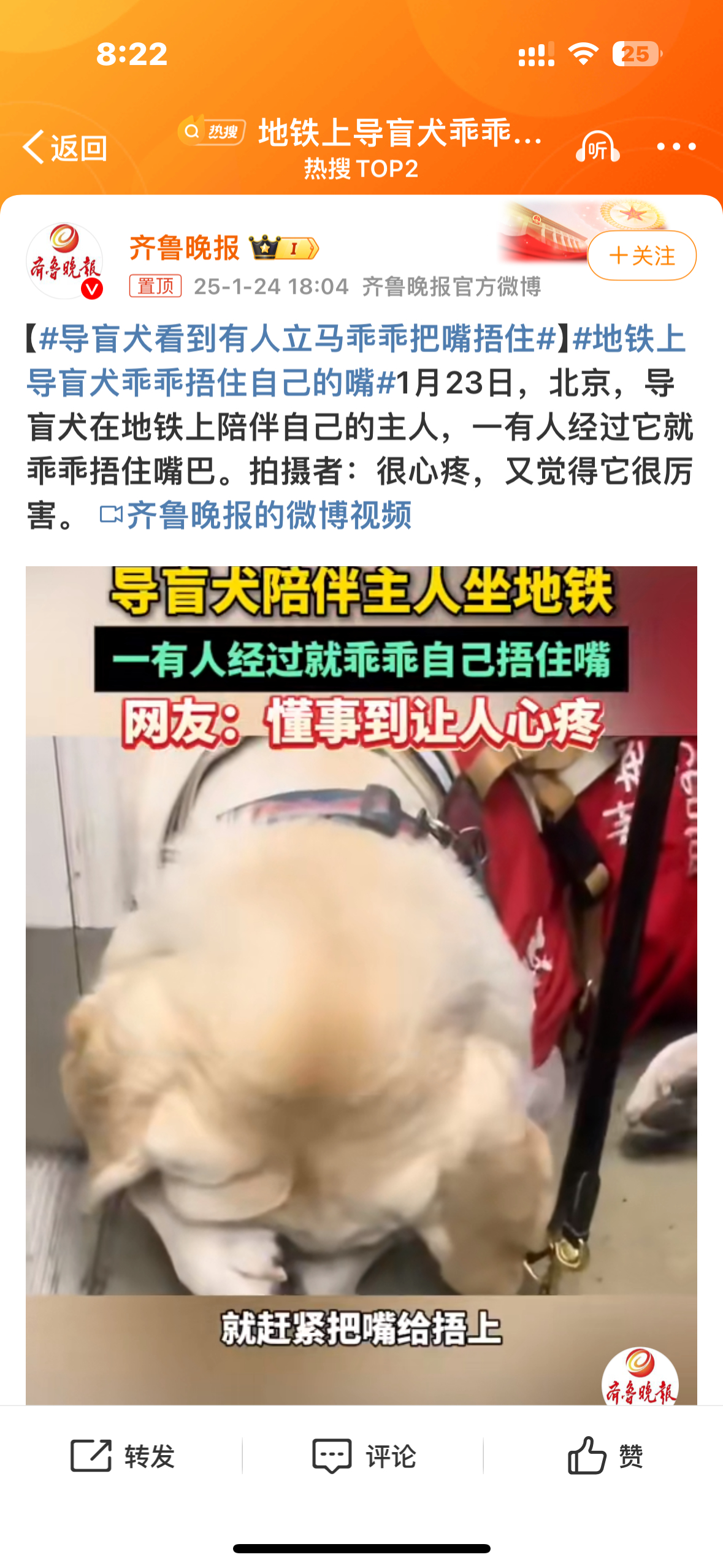 地铁上导盲犬乖乖捂住自己的嘴 工作犬就是世界上最棒的宝宝[苦涩][苦涩][苦涩]