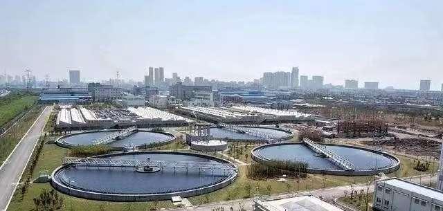 5700吨粪便每天清空，没人看见它去哪儿，它真被“处理”了吗？

今天早上路过槐