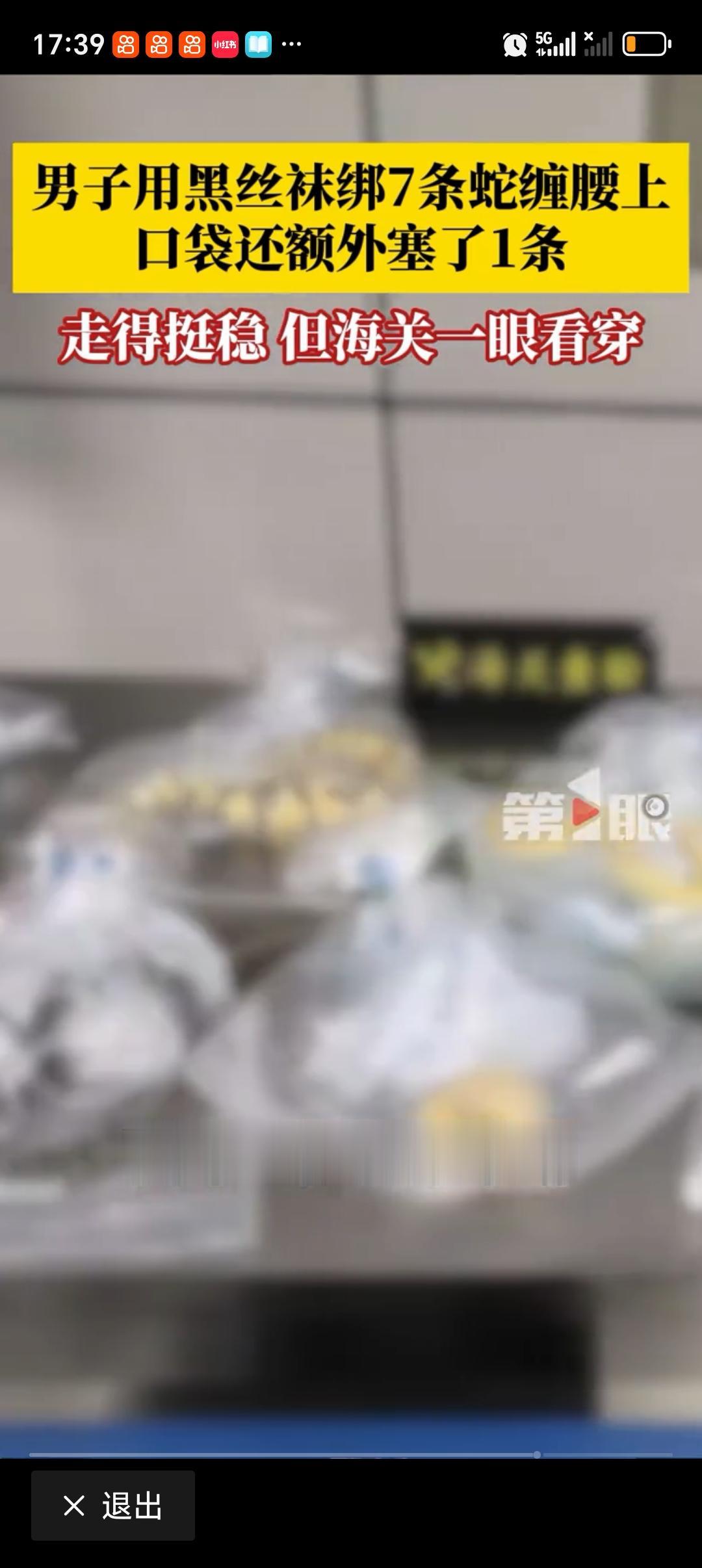 海关查获旅客绑藏活体蛇进境 深圳湾海关查获的这起走私案简直离谱！一名男子入境时神