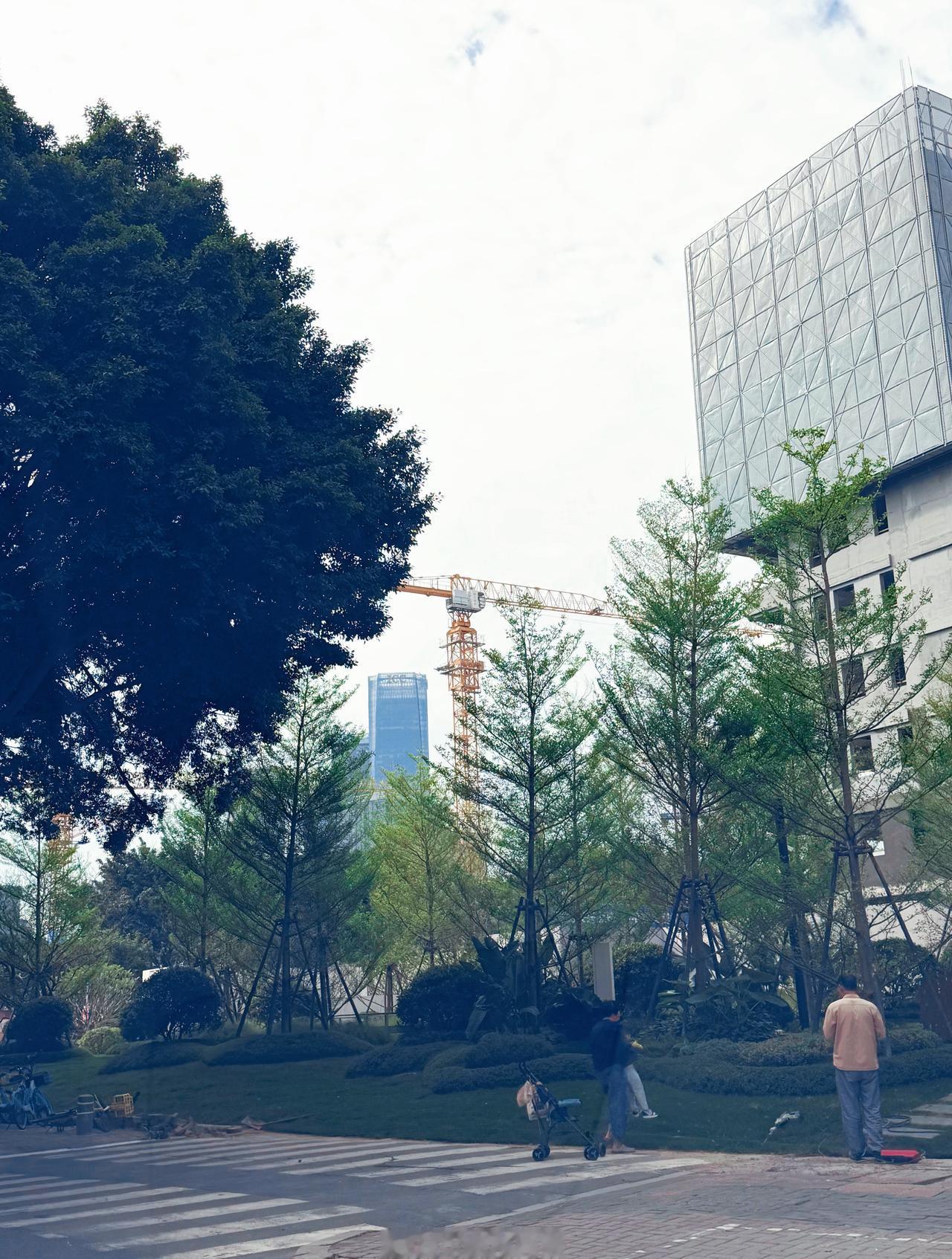 / ◌西二环人行道绿化提升