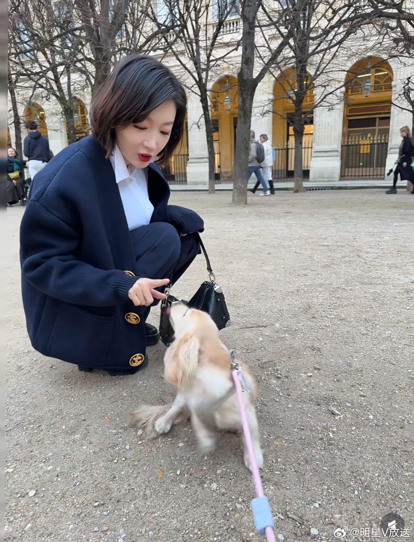 周冬雨在时装周偶遇小狗 周冬雨逗小狗这一幕真给我萌化了！简直演我偶遇小狗的样子，