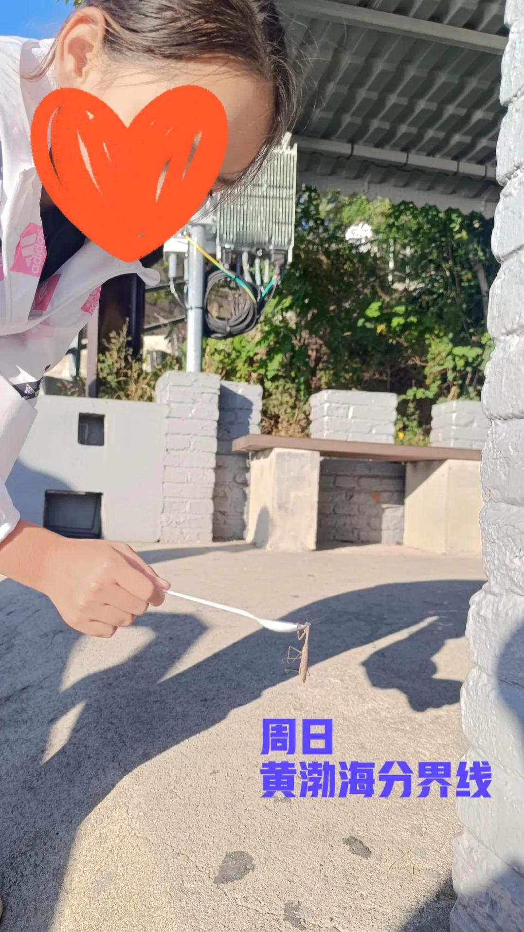 #五年级# 9月25日 半天の周三🧮总结：家庭学习内容56分钟

12：15～