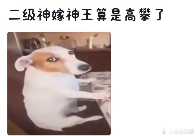 好毒的嘴，啊啊啊啊啊啊啊啊，什么时候借我用一下[笑cry][笑cry] ​​​
