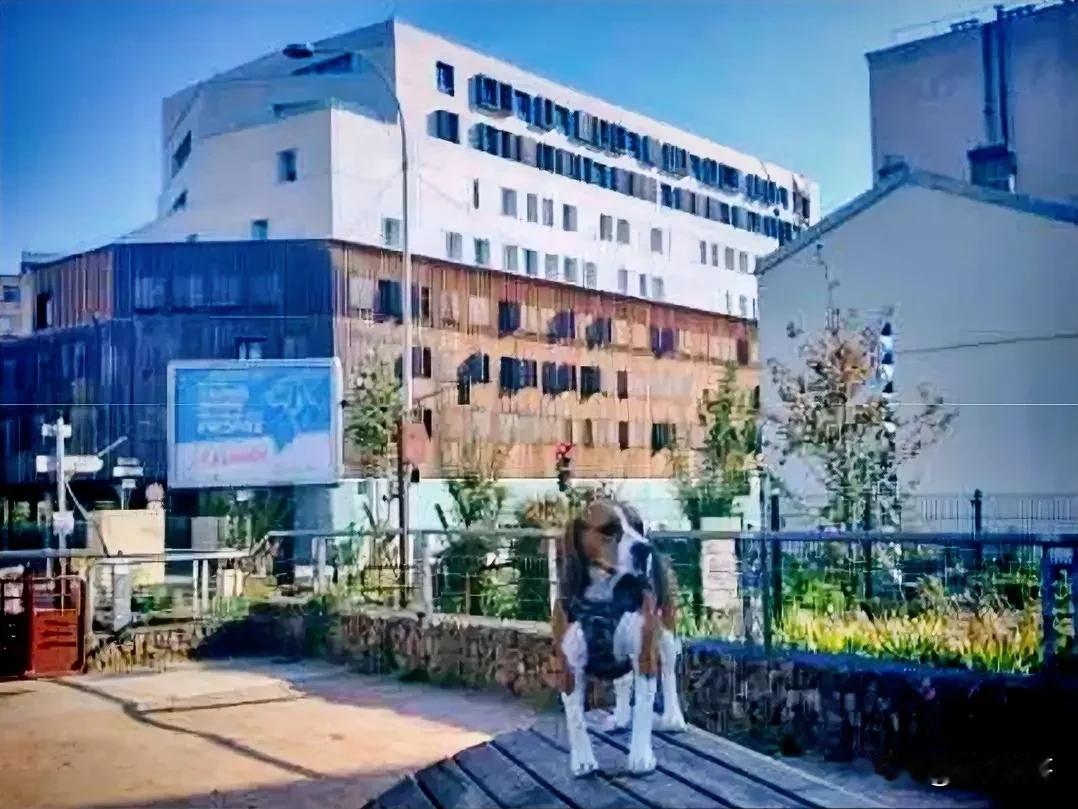 快乐8：小赌怡情！