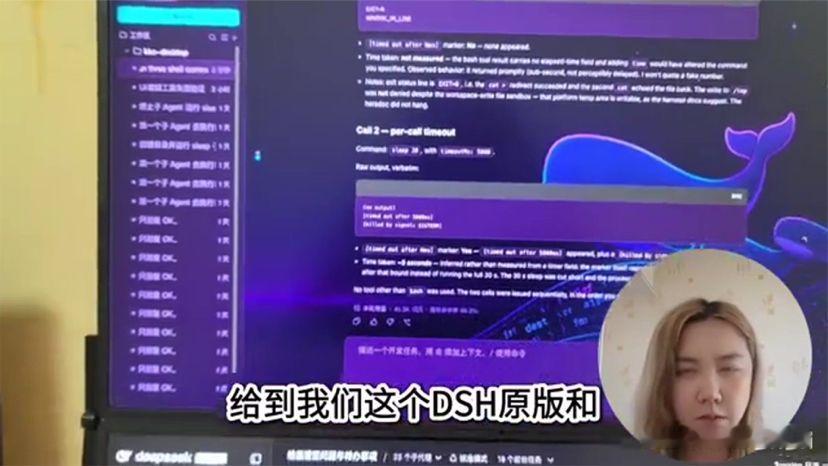 Deepseek Harness 新玩法。左脚踩右脚，Age