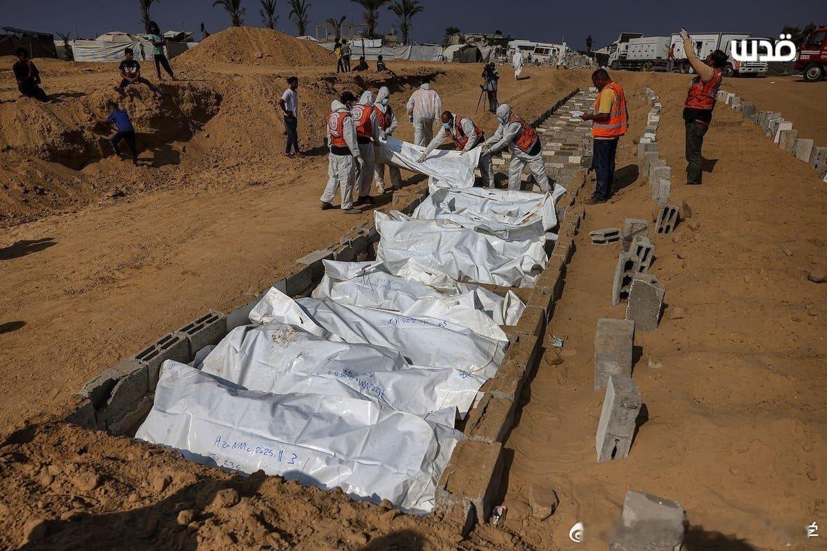 没有人认出他们。没有人为他们送别，也没有人在最后的告别中亲吻他们的额头。没有亲人