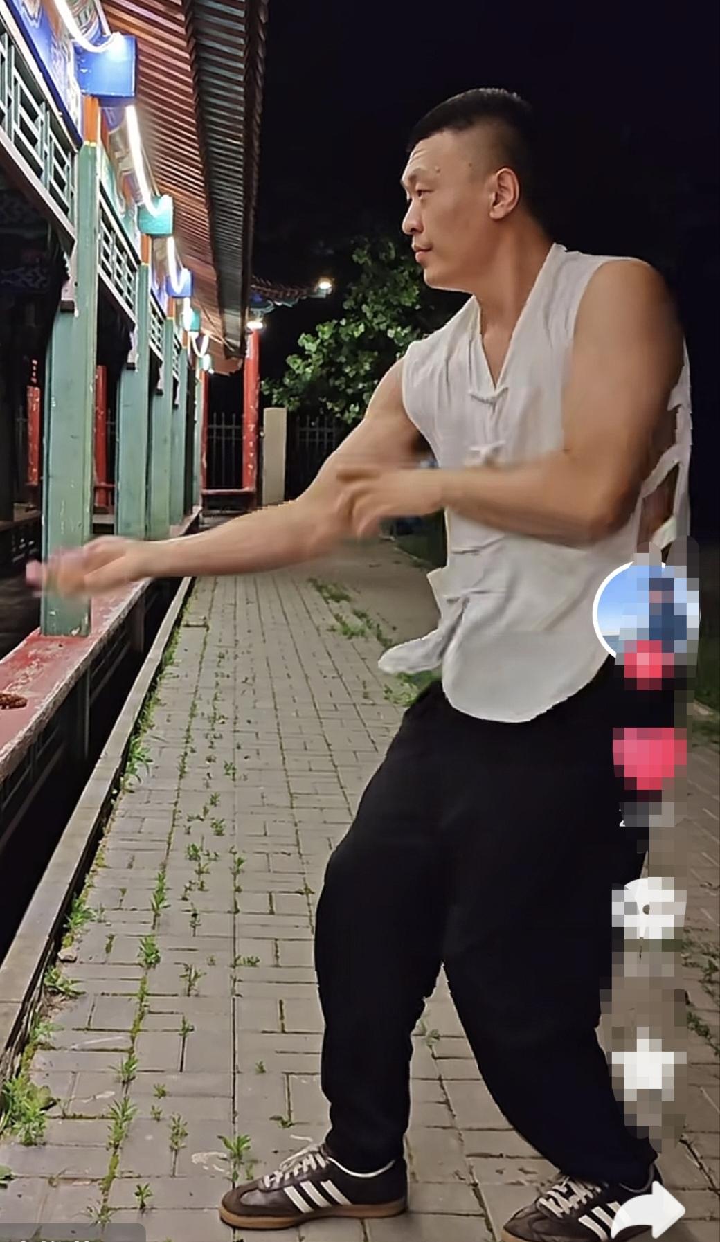 鸽武缘陈阔，你跟大家解释一下你的功夫究竟能干嘛？每天拍视频就那几下没啥看的。你徒