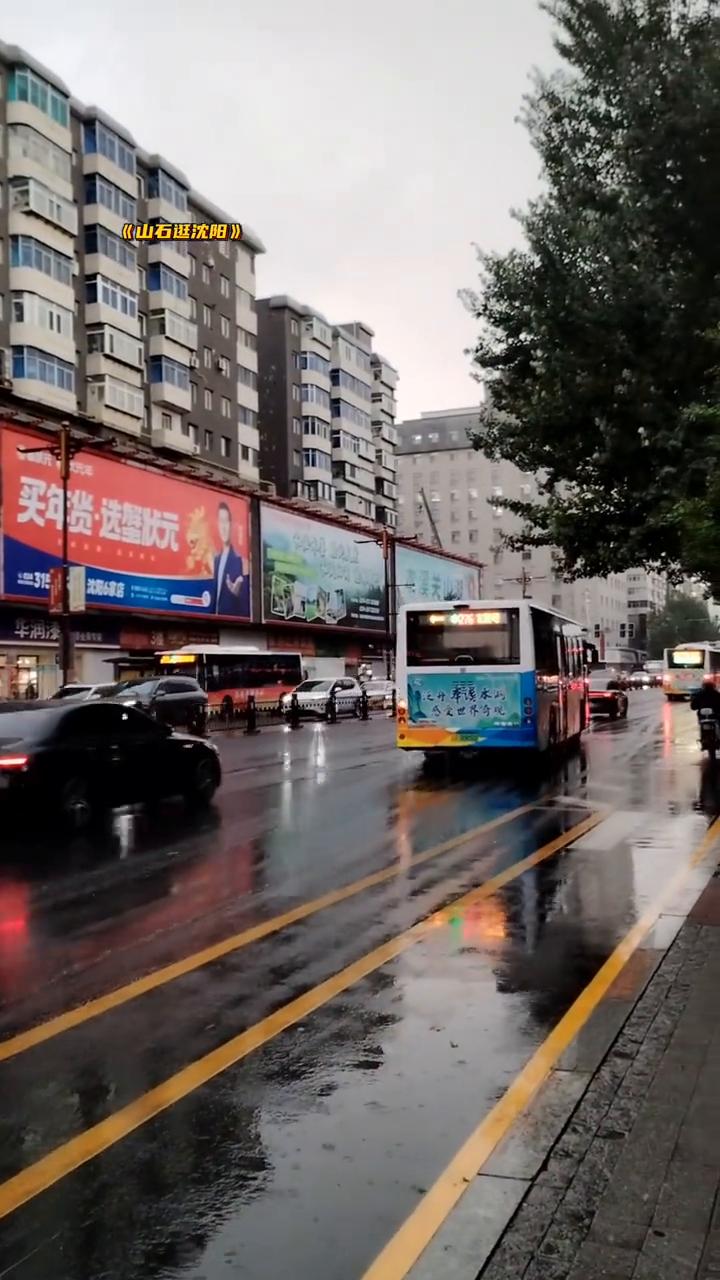 《山石逛沈阳》。
沈阳雨天街景随拍。