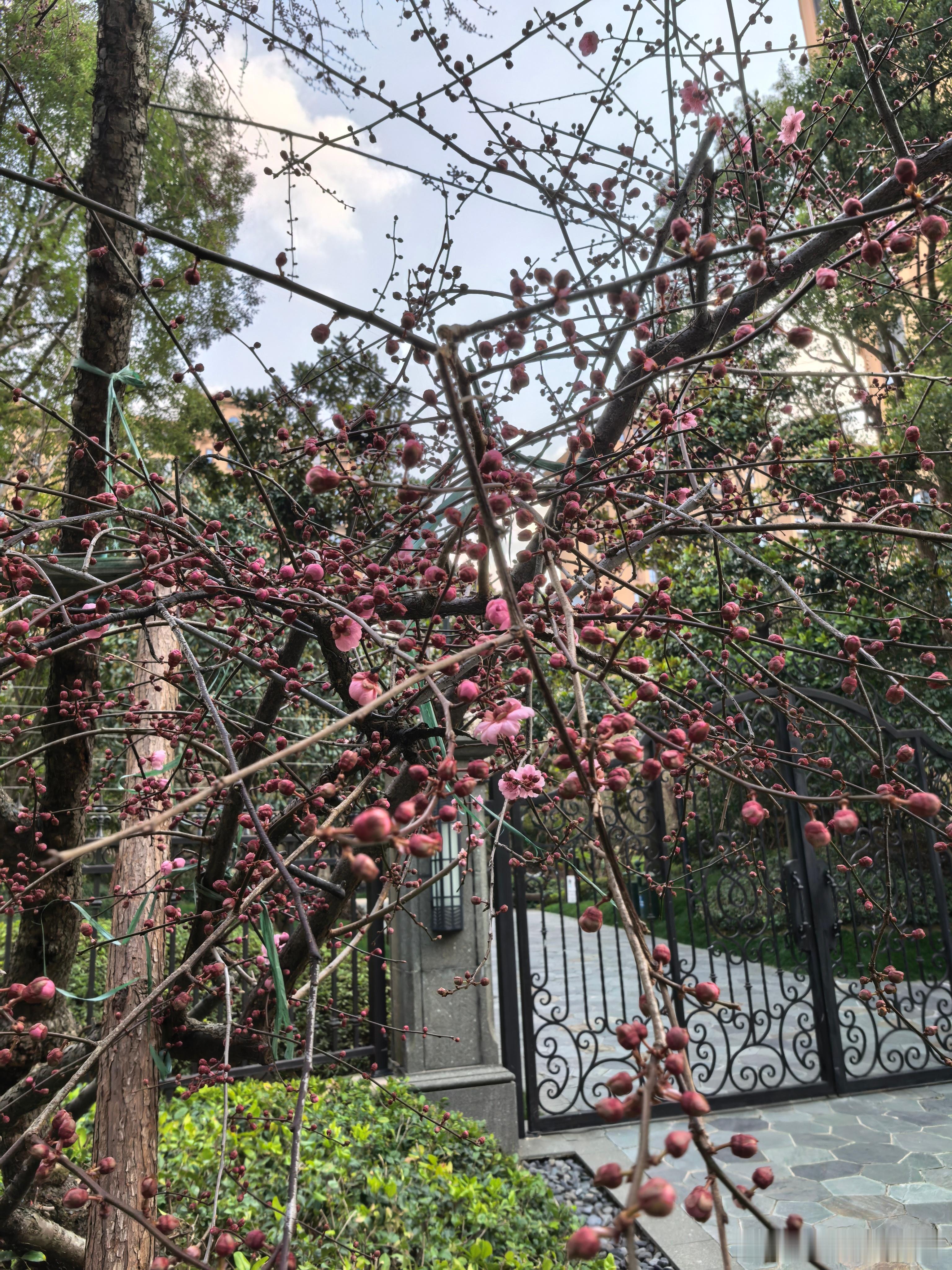 时势造英雄1、房地产时代地产公司是城门立木，成就的是五朵金花，房地产产业链。2、