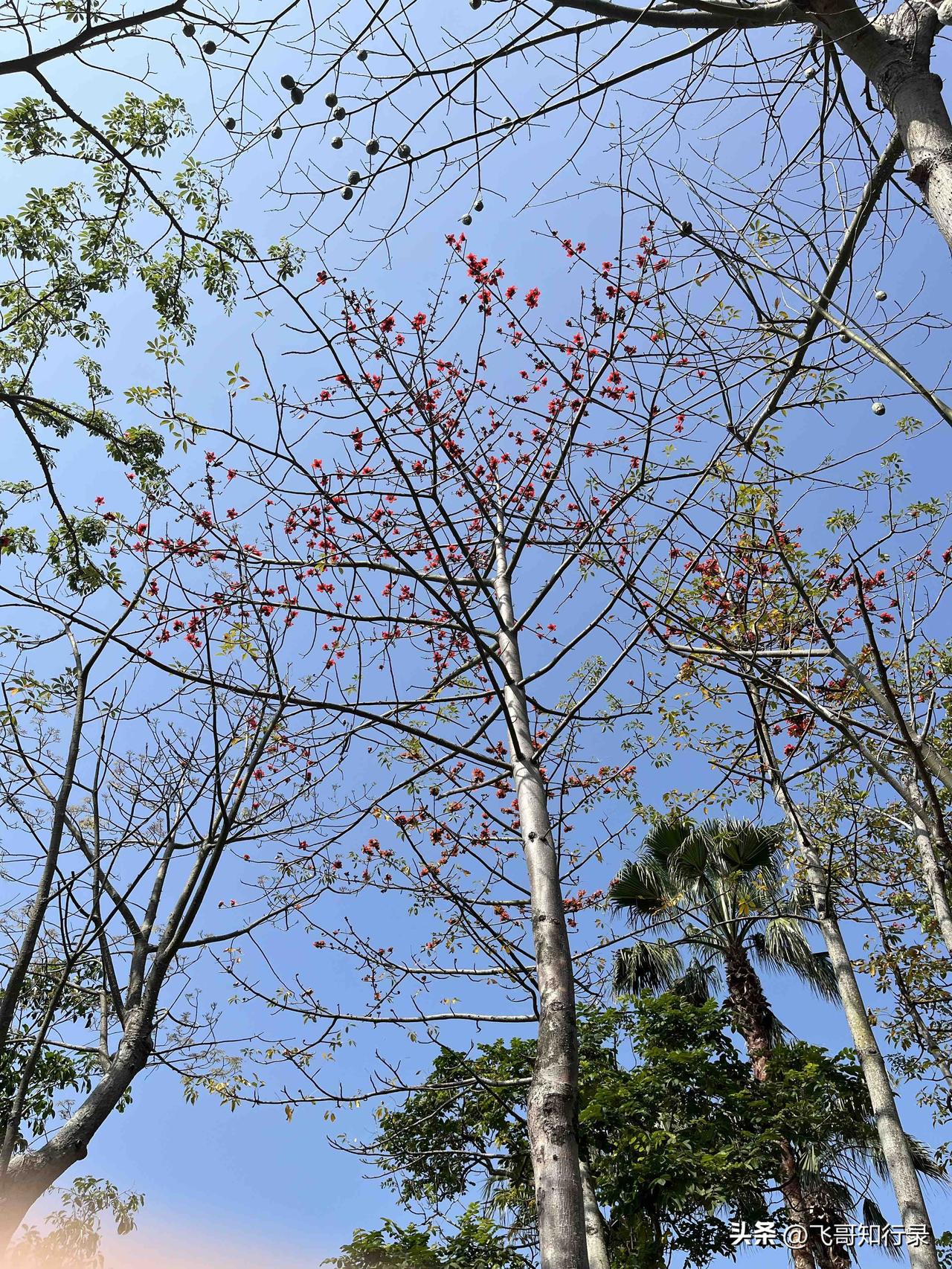 资治通鉴：当年往你身上撒尿的人，有一天会跪在你面前

我以前一直想不明白一个问题