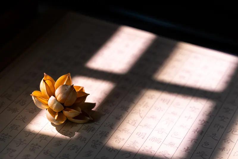 拿得起，放得下，人生得失很正常，想得开，看得透，生活困惑自然开，不去抱怨，笑看花