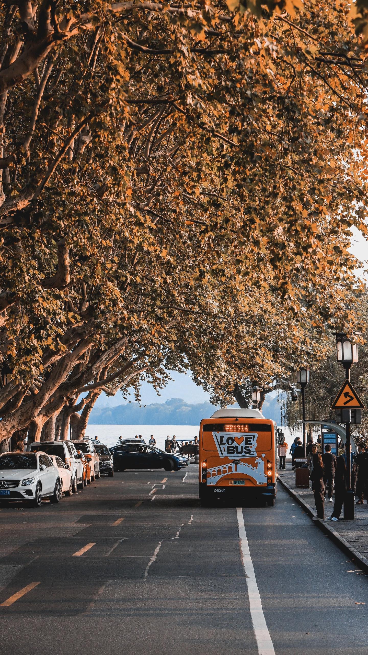 浪漫西湖秋日·西泠桥与1314路公交拍摄攻略。🍂 在西湖的西泠桥转角...