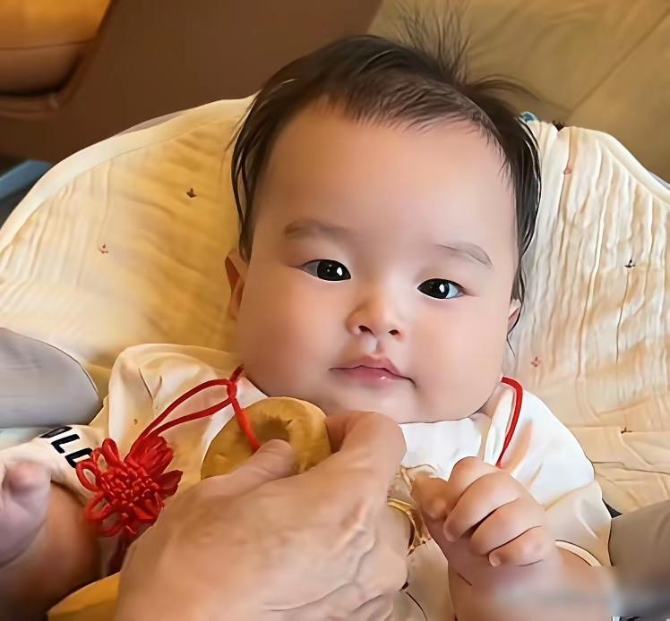 马筱梅也太会养了，把汪宝养的肉嘟嘟，软萌萌的，眼睛虽然不大，但特别透亮，太招人喜