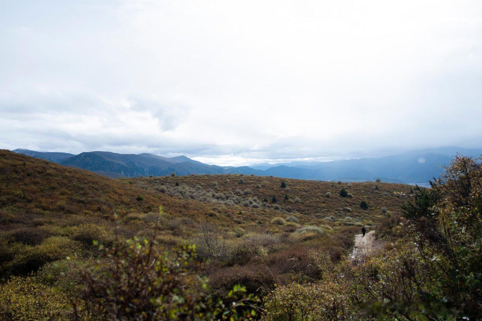 陈坤15年行走首次遇到大雪 陈坤的行走的力量在大雪中焕发光彩 人类在自然面前的渺