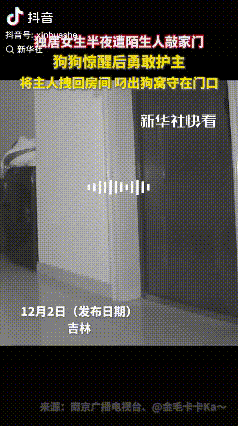 “太有灵性了！”吉林，独居女子半夜遭陌生人疯狂敲门，女子想去猫眼查看情况，没想到