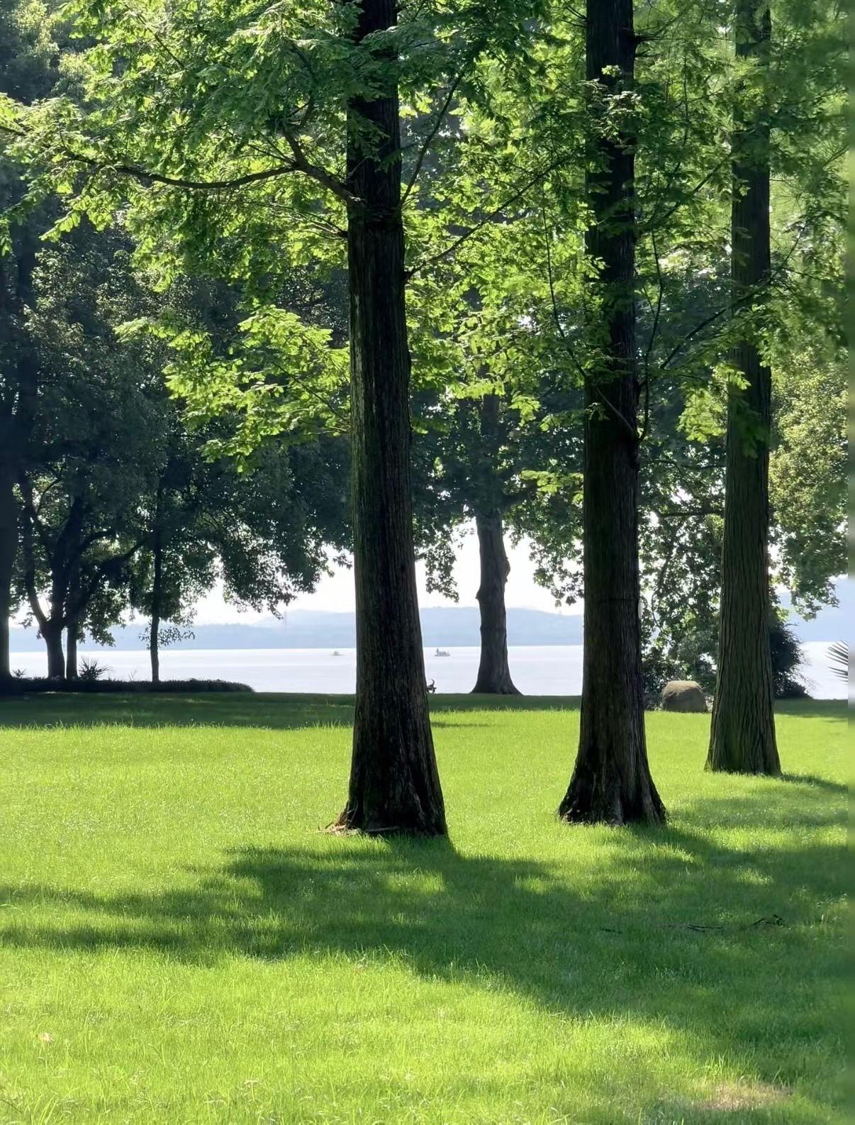 把普通的路，走成心之所向的风景

于热烈的夏日里奔走，我与自由再无间隙和界限。镜