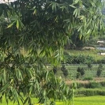 养养 很多人终其一生都在向外寻求认可，渴望被看见、被理解，期盼自身的价值由旁人定