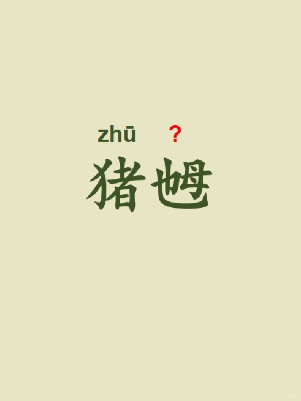 今天来学习——猪乸
