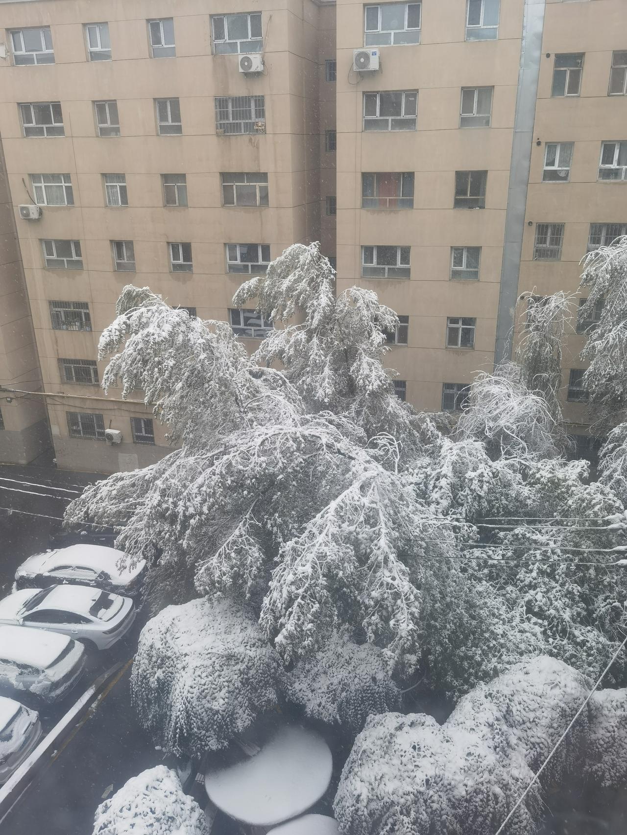 乌鲁木齐的第一场雪，比去年更早