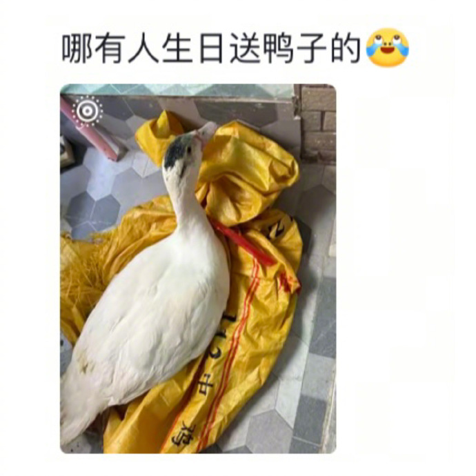 送礼物还是得上硬货 