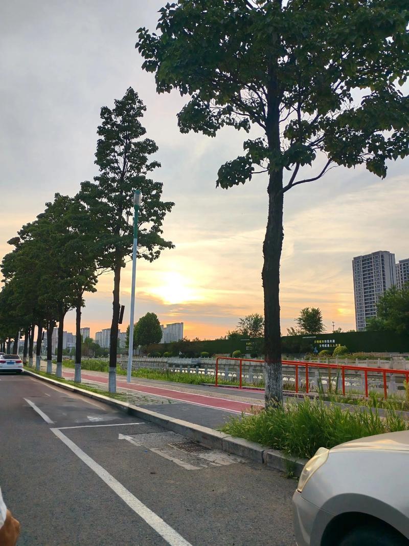 清晨是生活给的温柔开场，全力以赴，不负时光。薄雾散去，阳光漫进窗台，又是舒服的早