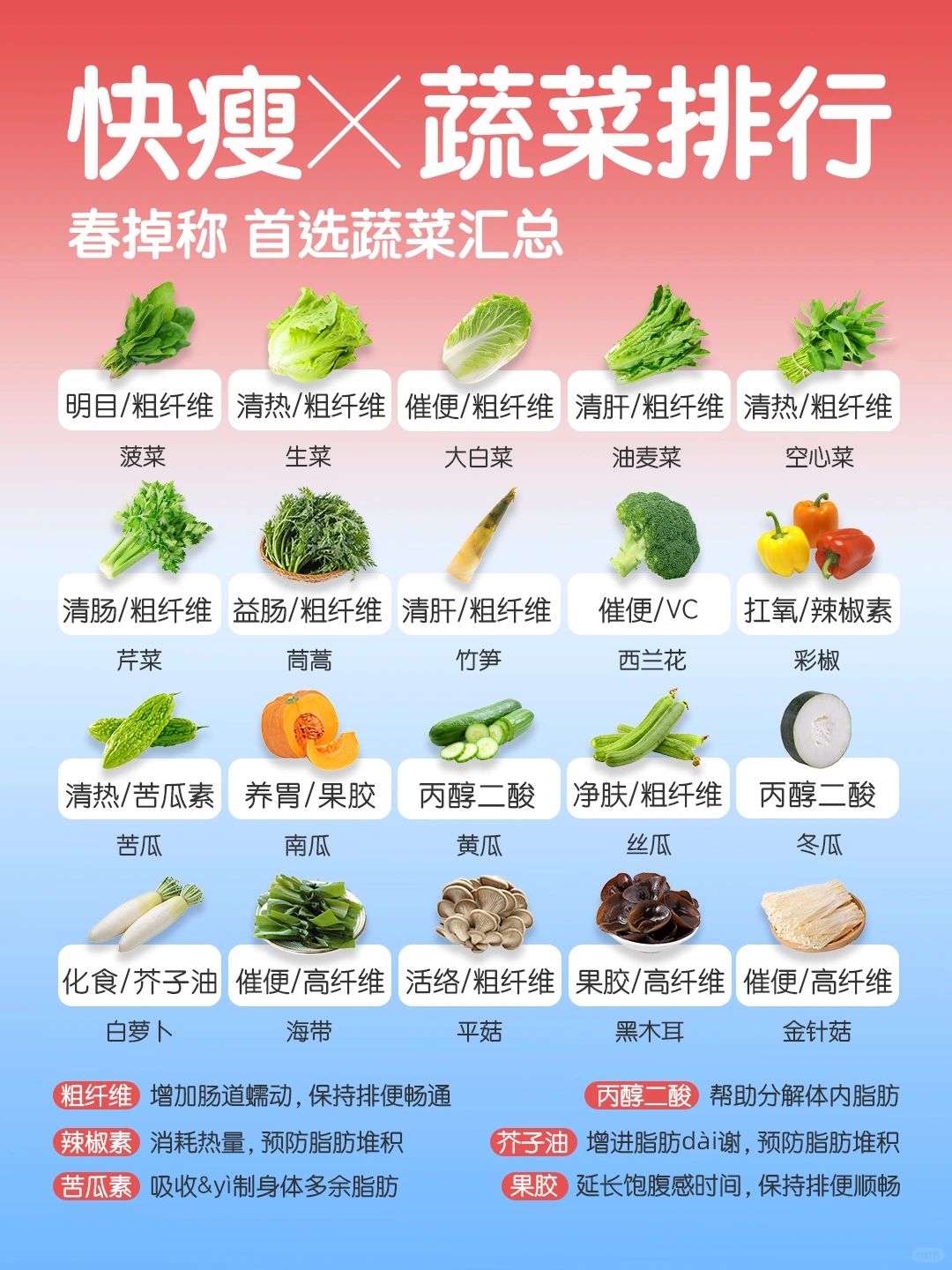 春季快瘦蔬菜🥬速查👆｜你吃什么，你就是什么