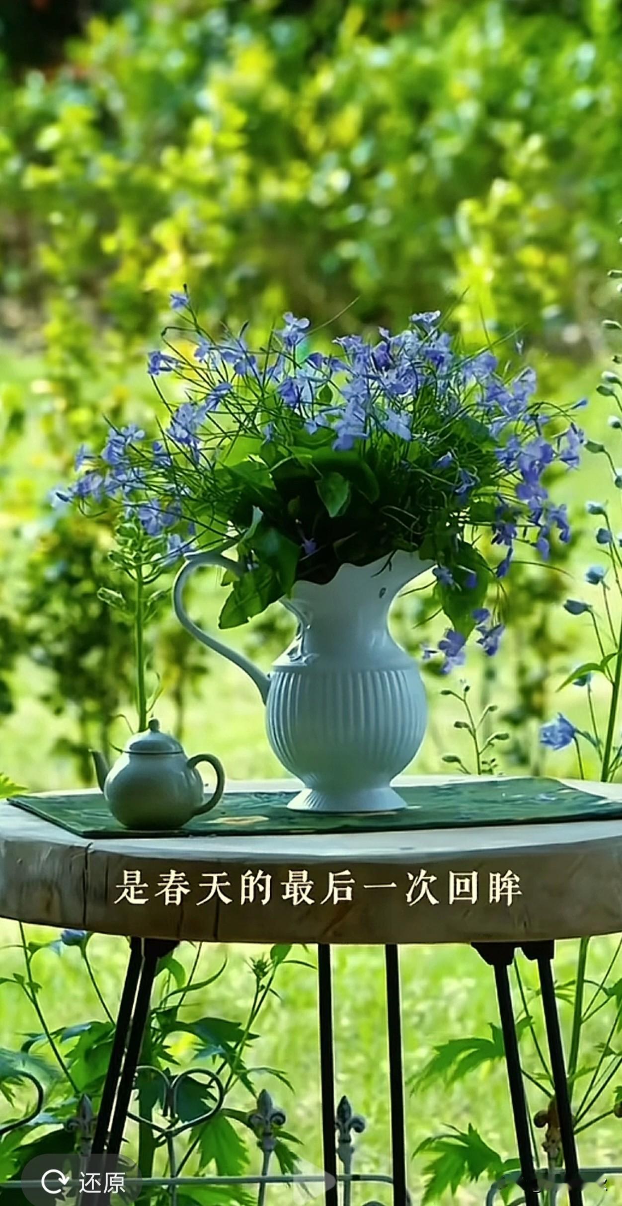 今日谷雨，
是春天的最后一次回眸。

山茶含翠，
牡丹吐蕊，
暮春渐盛的雨水，