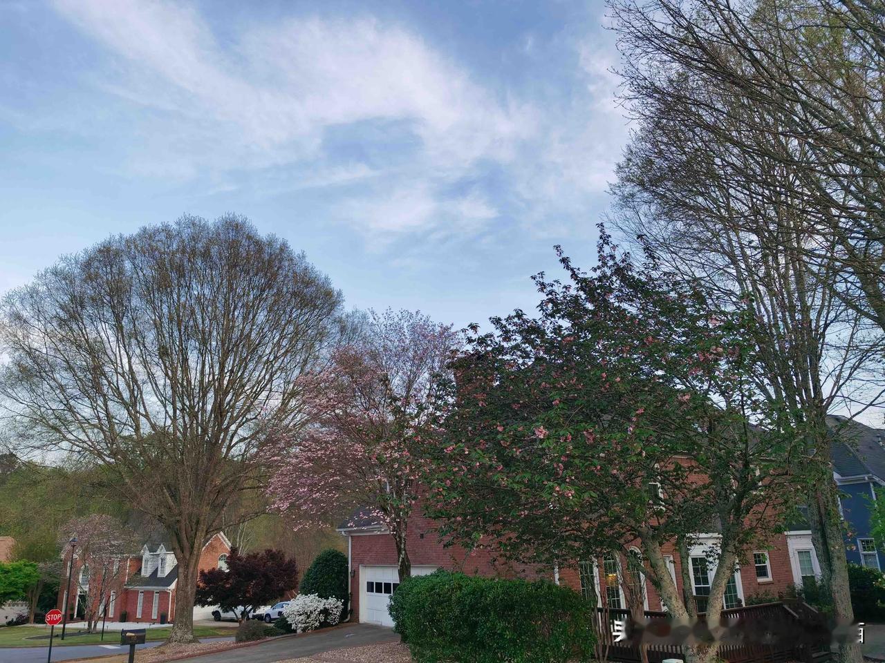 无论男女，在年轻时结婚，总是憧憬“给你一杯忘情水，还我一生不流泪”，可是人到中年