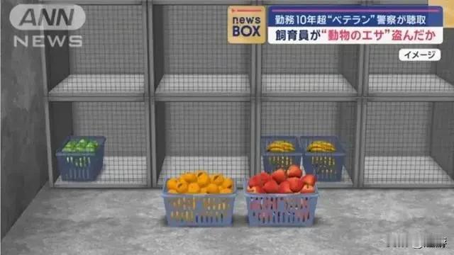 日本的新鲜蔬菜瓜果的价格昂贵，那是早有耳闻。但是看到大阪动物园的饲养员偷吃猴子的