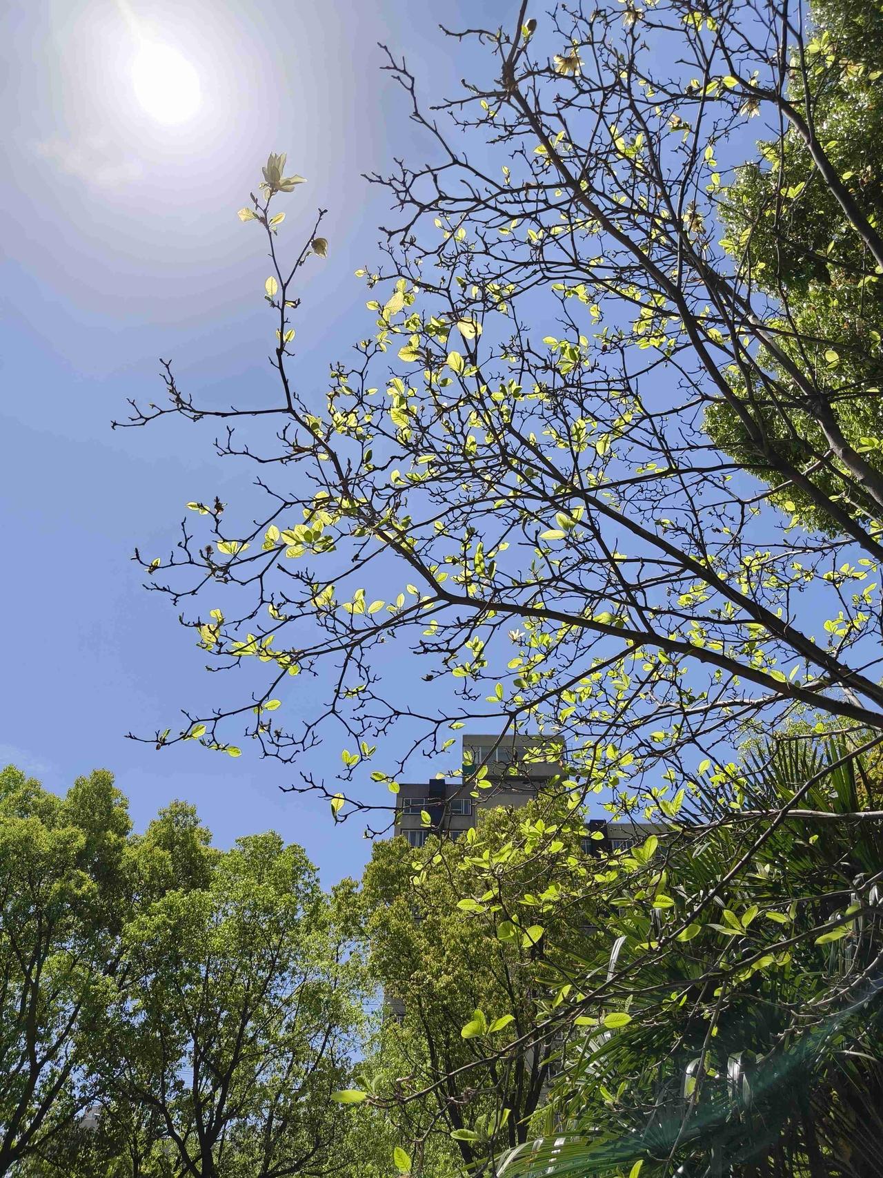 我的今日状态：😁轻松愉快
我这里的天气：☀️晴天