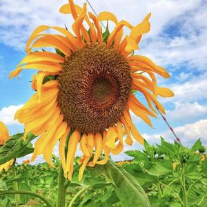 奇闻趣事生活百科