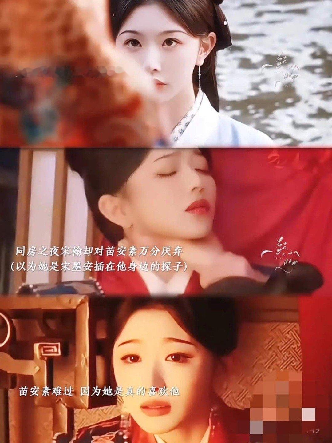 九重紫苗安素窦明对照组 苗安素和窦明，不同的人生轨迹，在《九重紫》中展现得淋漓尽