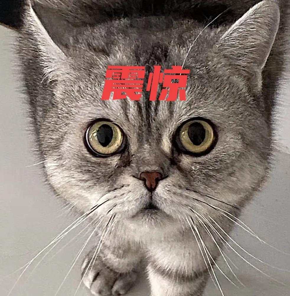 为什么别的新能源车一直在亏损，只有问界两年就实现了盈利，怪不得问界有一丢丢问题就