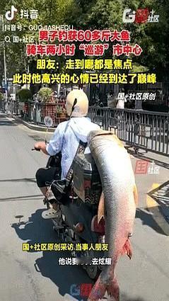 60斤大鱼绑在电动车后座，南昌街头两小时巡游，男人笑得像中了彩票，其实他要的不是