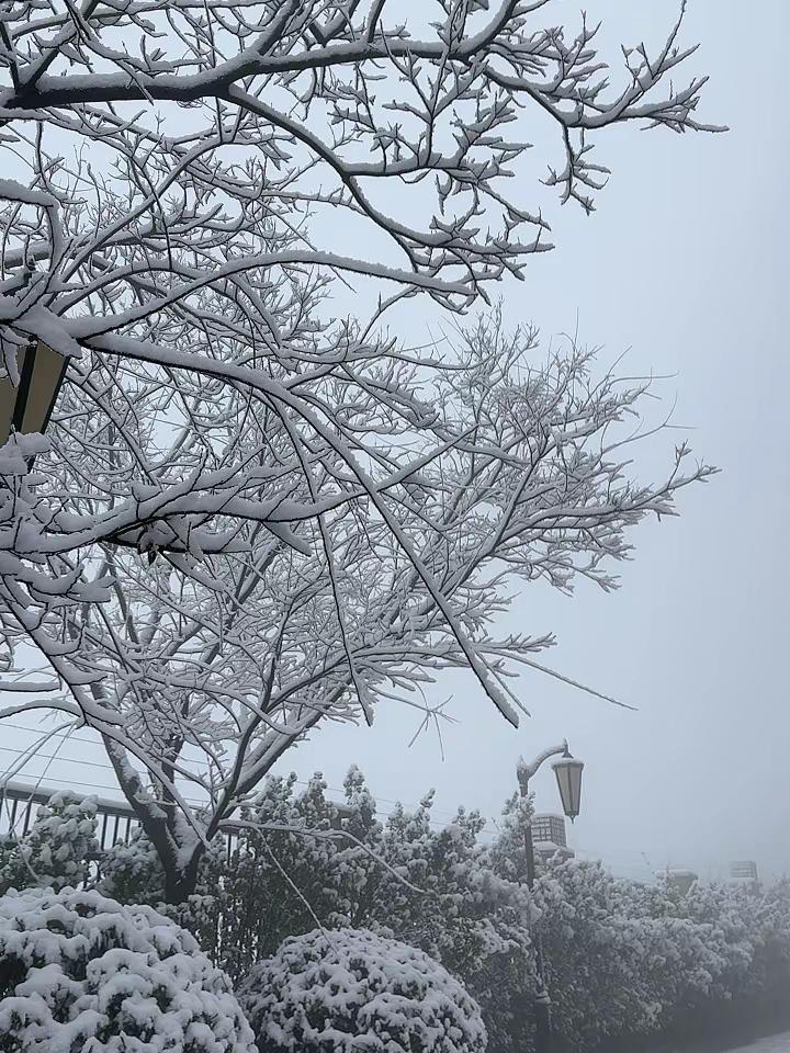济南今天美爆了