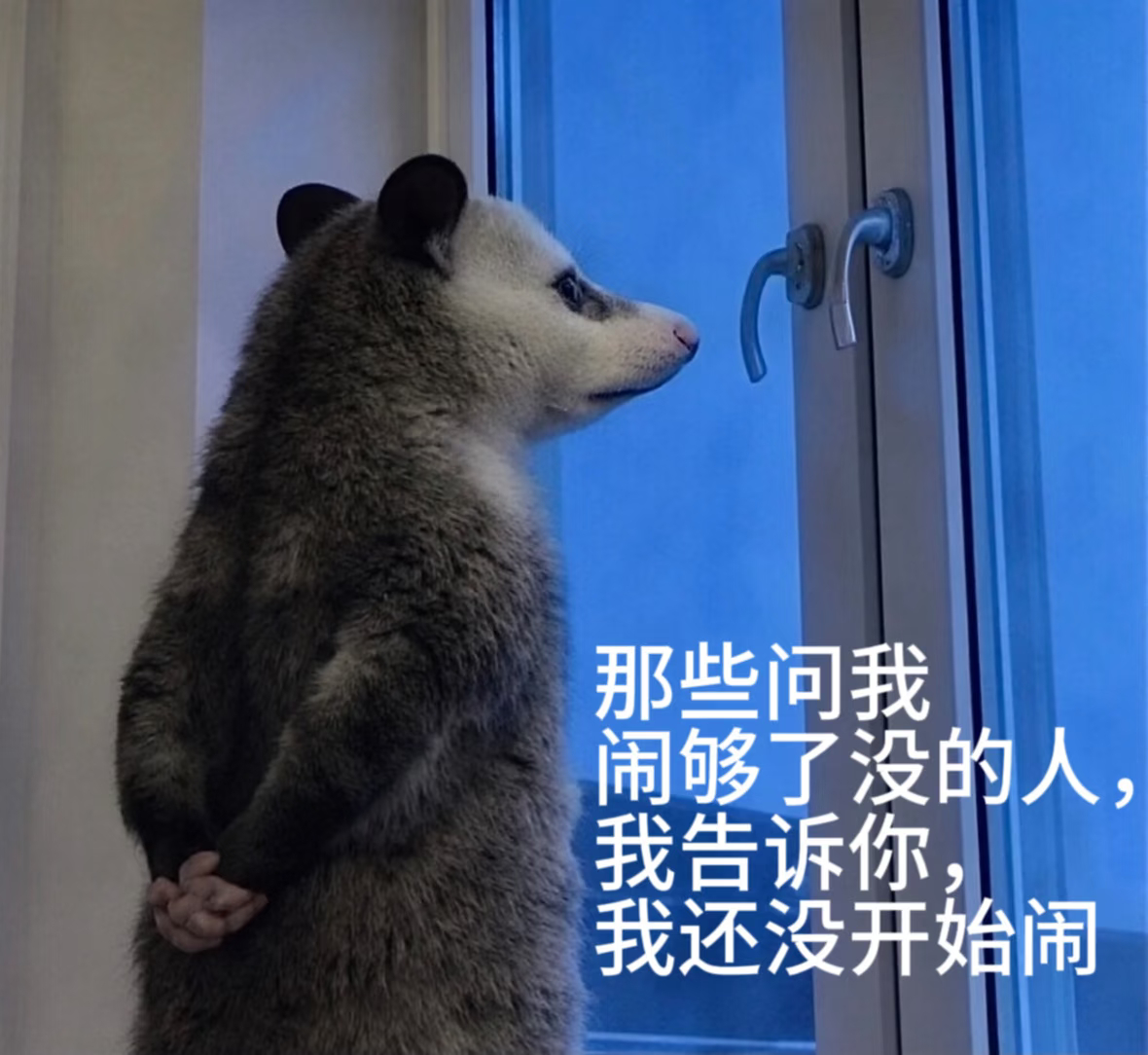 哈哈哈哈来看