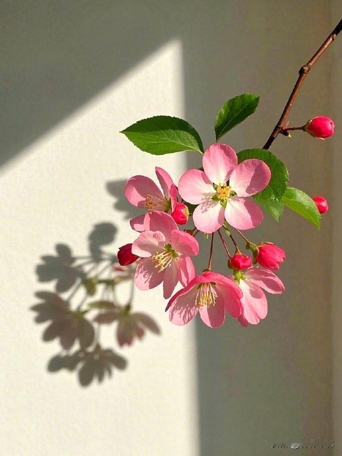 万般皆是命，半点不由人呀！

我96年大学毕业前，妈妈和大姨在大姨家小区门口和一