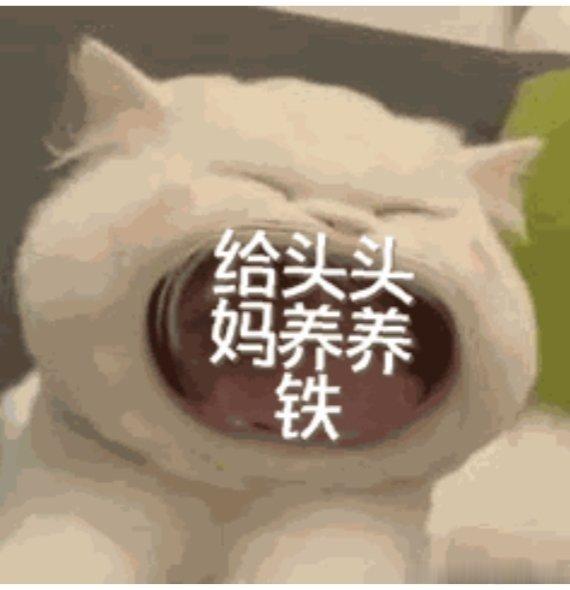 路过的友友们继续给我🐏🐏铁！511