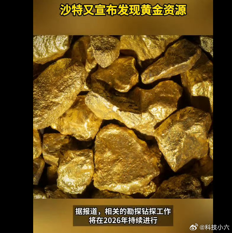 沙特又宣布发现黄金资源完了，一宣布就会被特朗普这个老登盯上。