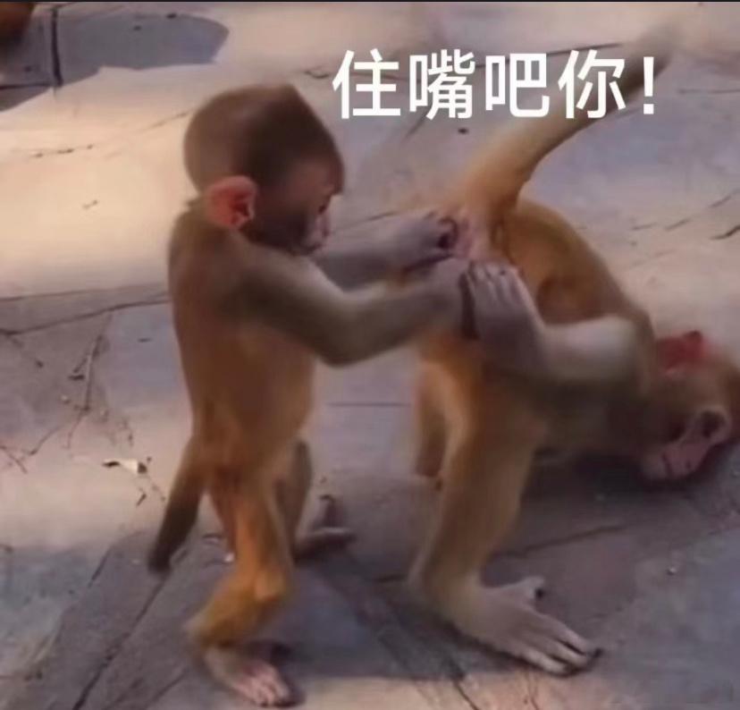 于正刚和赵露思聊了一小时  人到底应该有几个人格才正常[费解] 