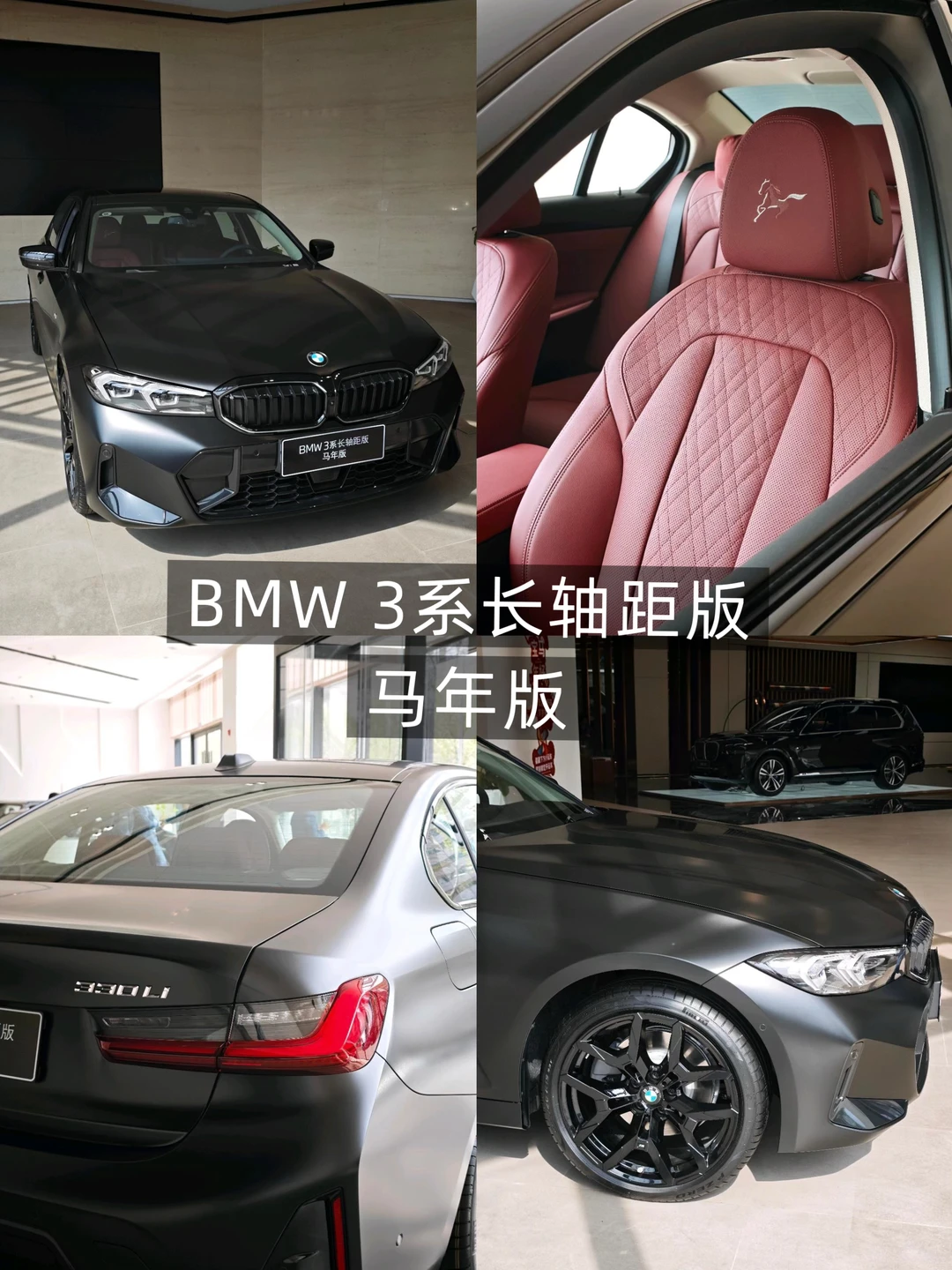 马年这匹“黑马”🐎有没有戳中你